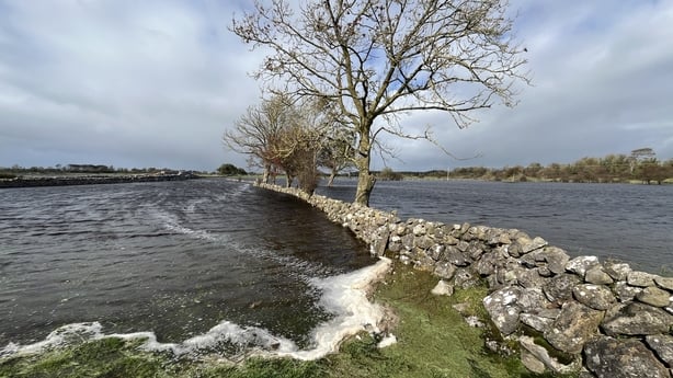 A flooded field near the Grange River