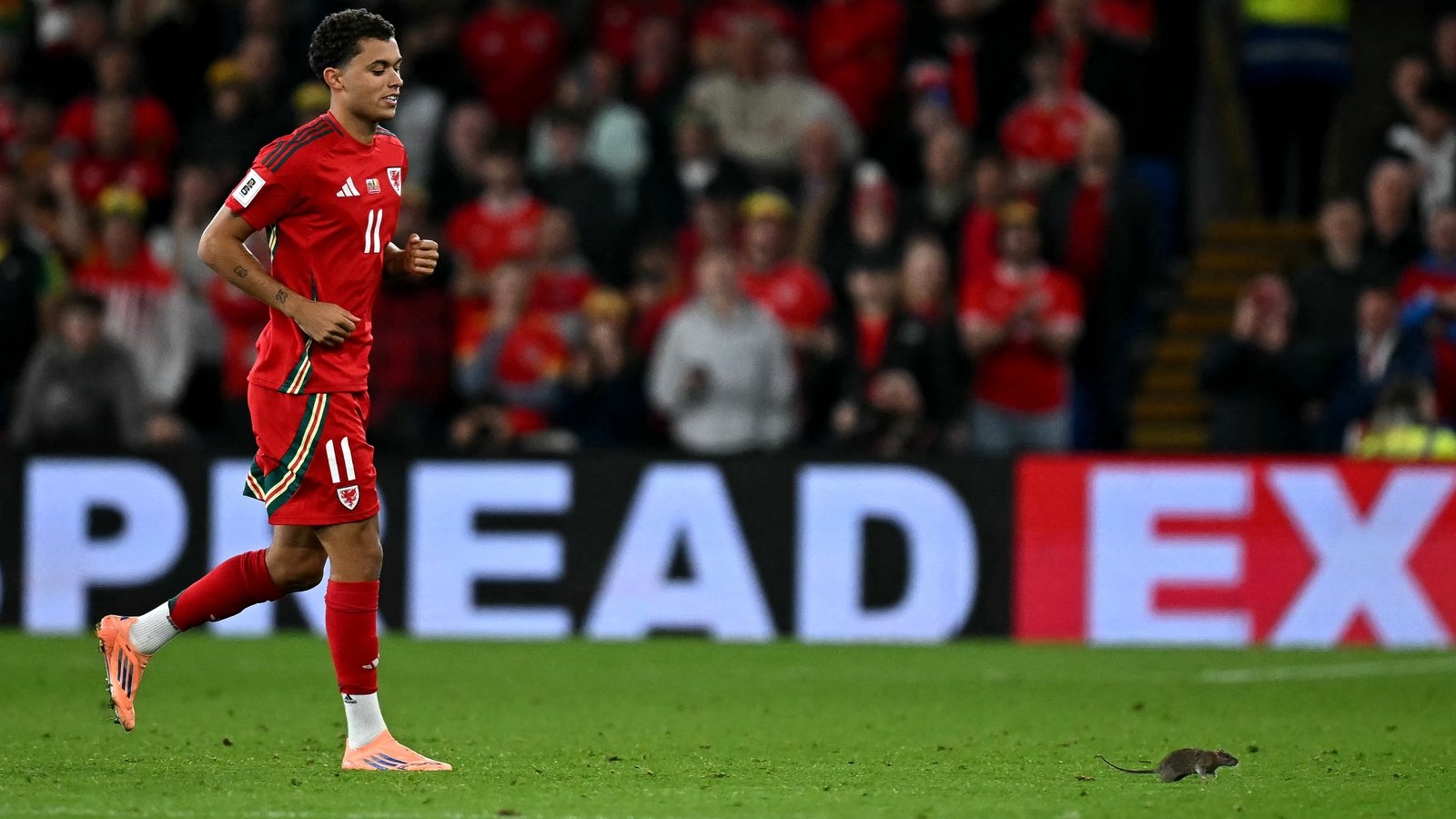 Wales left cursing De Bruyne as Belgium win