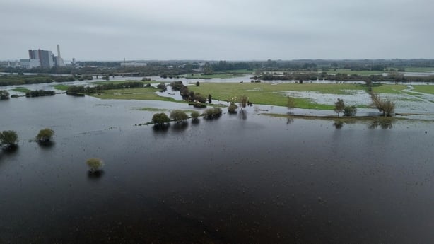 Farmers along the Shannon Callows say their livelihoods are being destroyed by rising water levels in the area