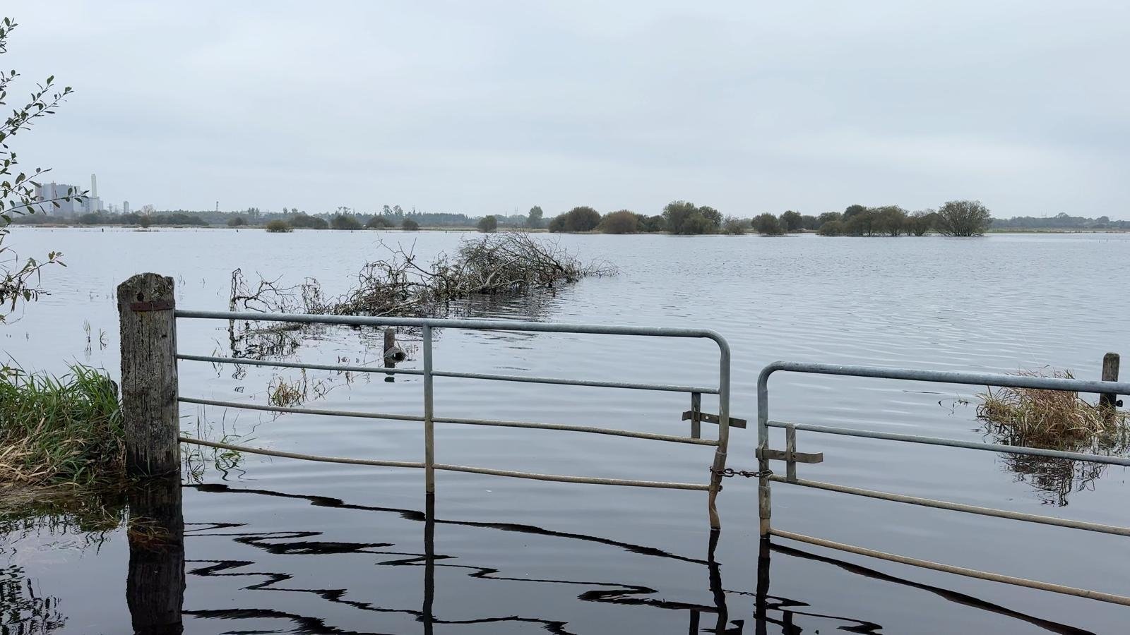 Farmers' livelihoods 'destroyed' by Shannon flooding
