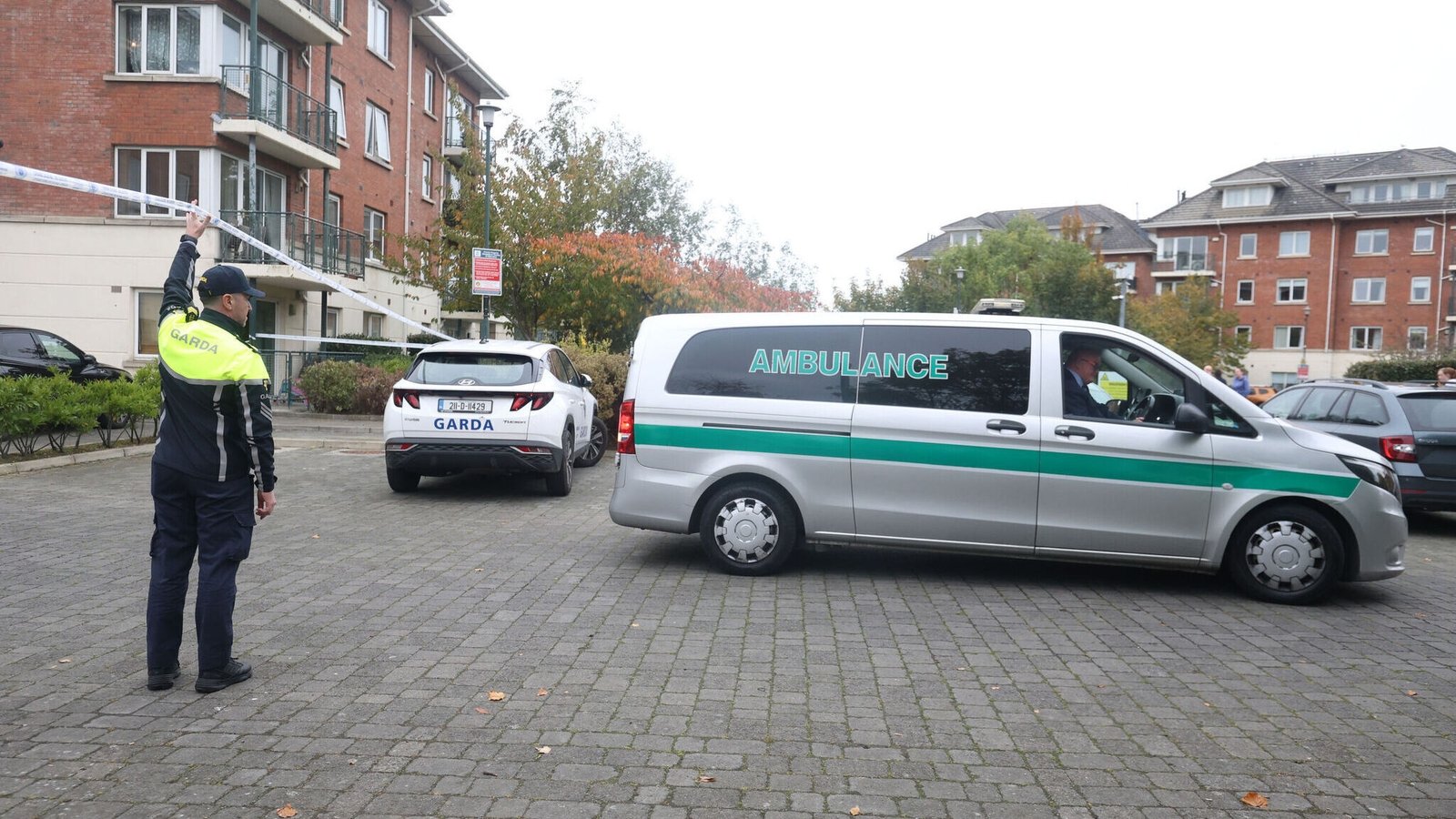 Ukraine teen fatally stabbed recently arrived in Ireland