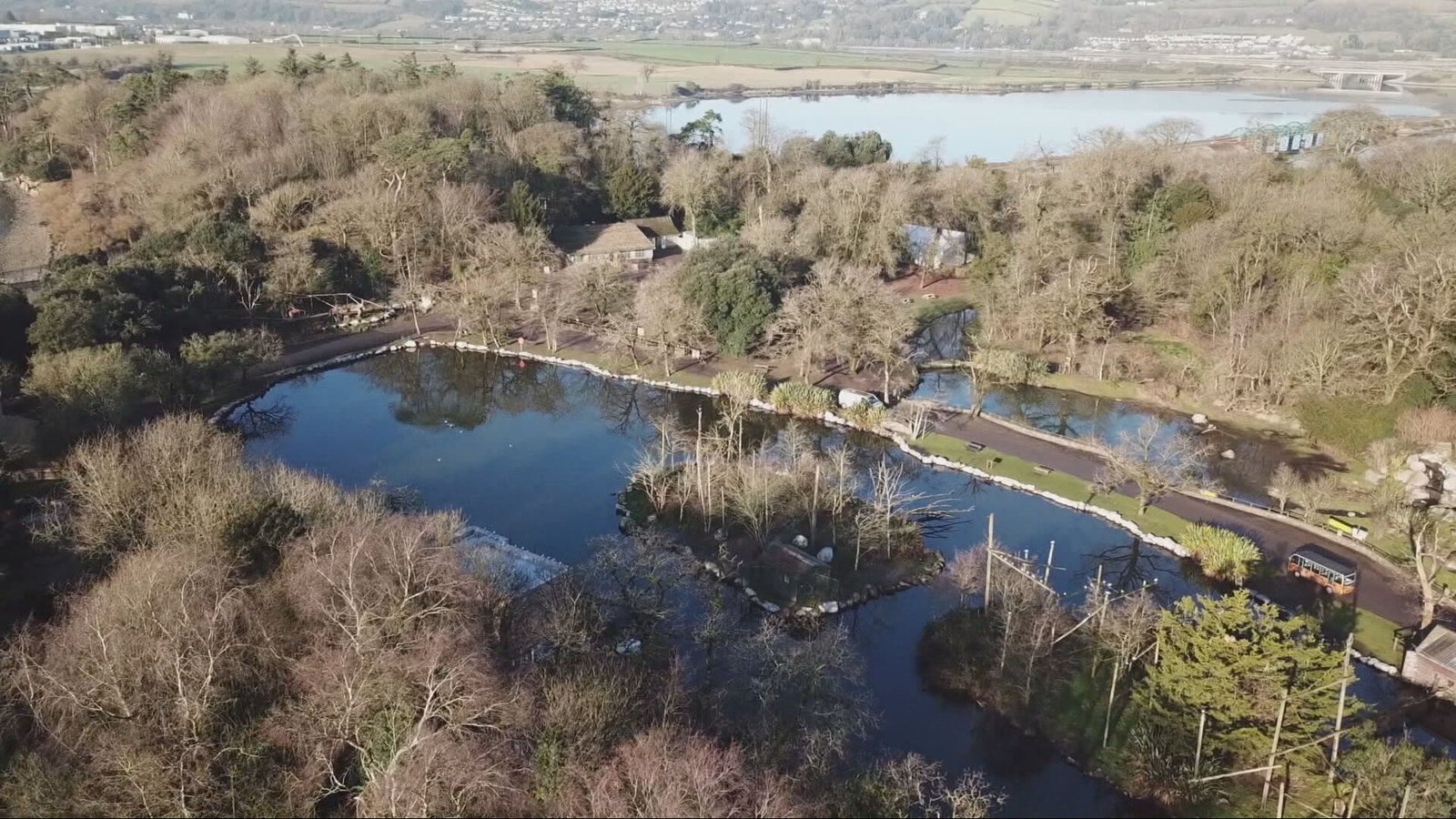 'Complex' situation at Fota Wildlife Park due to bird flu
