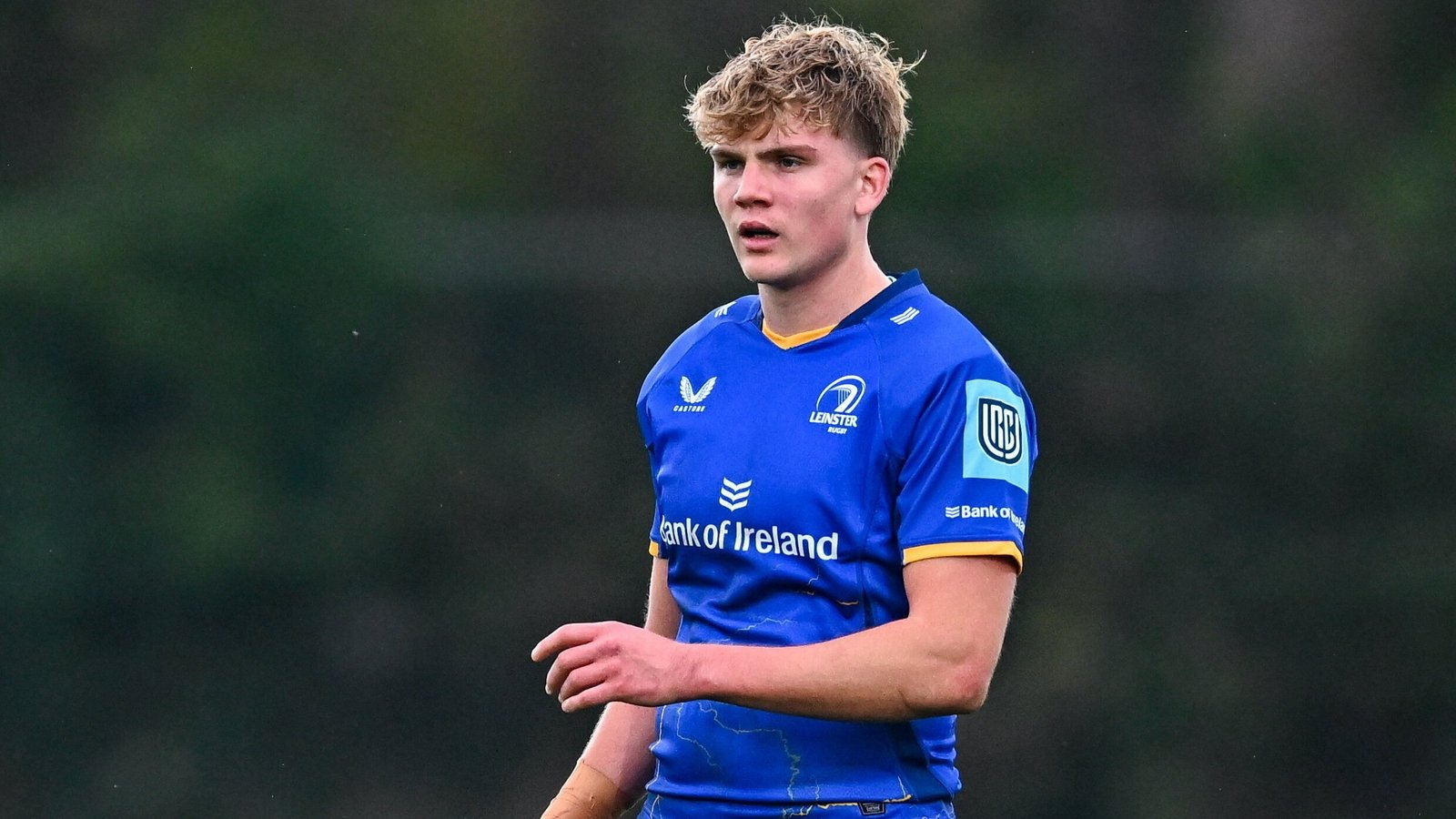Gabriel and Sheehan set for first Leinster caps