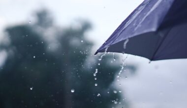 Status Yellow wind and rain warnings for six counties