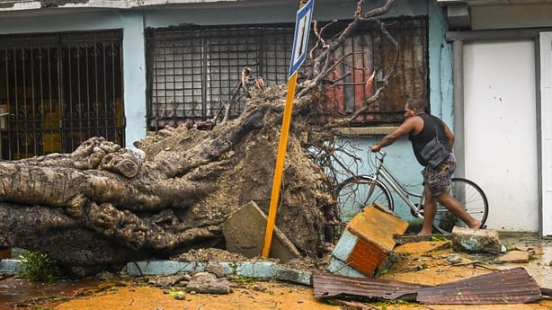 A man walks past a fallen tree with his bicycle after Hurricane Melissa struck a neighborhood in Santiago de Cuba