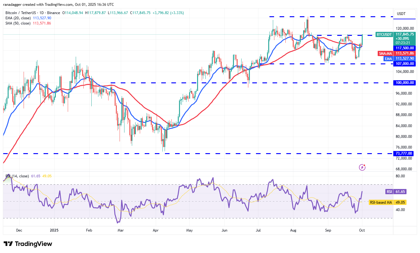 Dogecoin, Cryptocurrencies, Gold, Bitcoin Price, XRP, Cryptocurrency Exchange, Cardano, Price Analysis, Binance Coin, Chainlink, Market Analysis, Ether Price, Solana, Avalanche