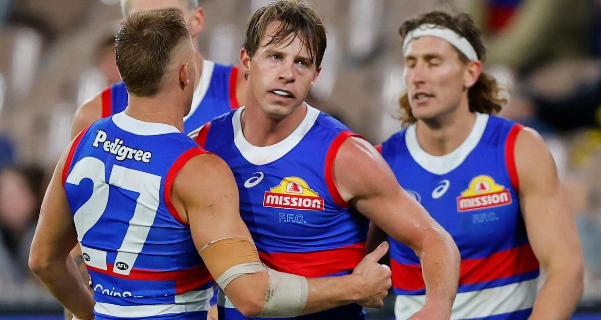 Former Dog returns to the Kennel in new welfare role