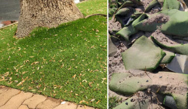 Controversial plan to ban popular backyard item unveiled by Aussie council: 'Unfair'