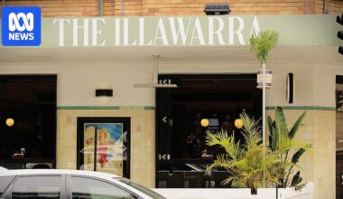 Hotel owner mocks Wollongong Council's palm tree art after renovation refusal