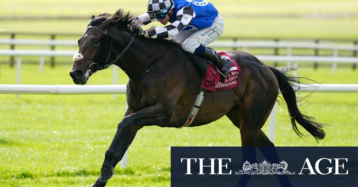 Expert analysis of the top 30 horses and their chances