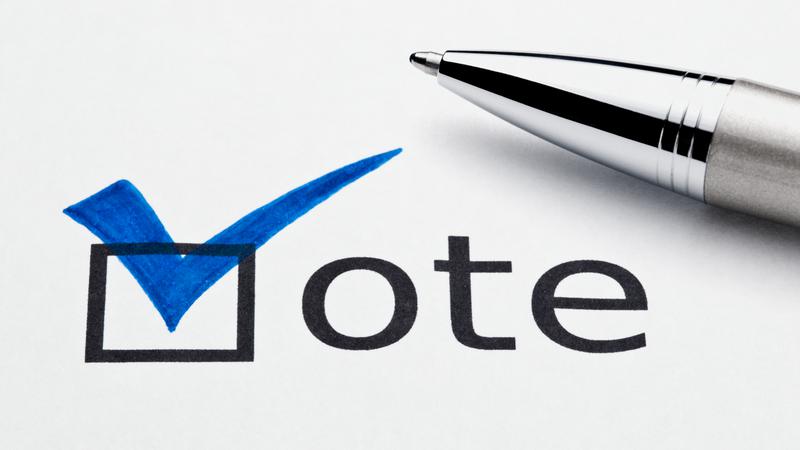 Municipal election results: Who are your new representatives?