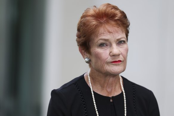 One Nation leader Pauline Hanson has called for Palestinian visa holders in Australia to be sent home.