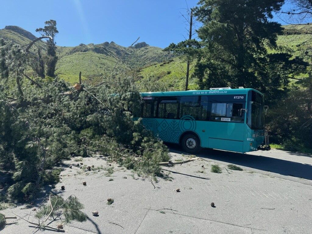 'Very lucky no children were onboard': Tree falls on Christchurch bus