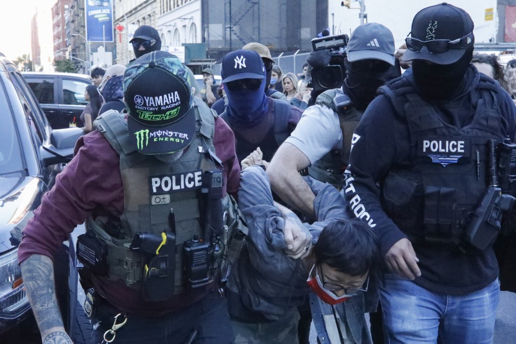 Federal agents arrest protesters on Canal Street,