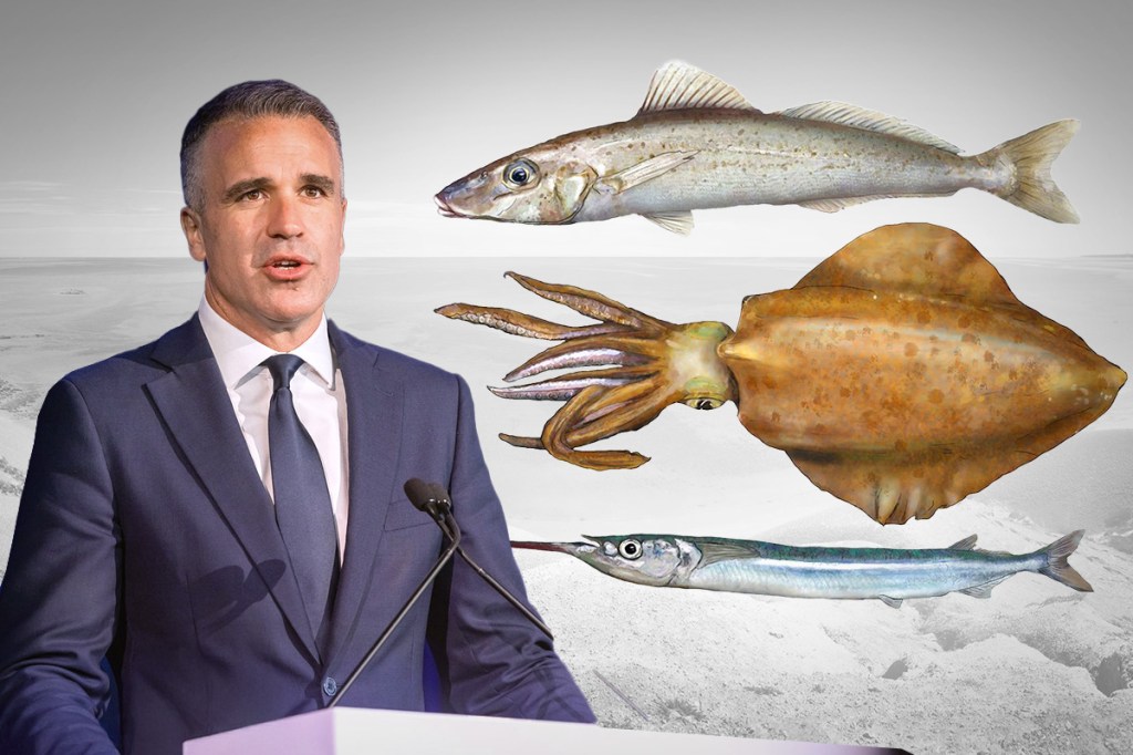 Data shows fish species decimated in SA waters - News