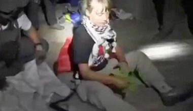 Greta Thunberg 'dragged', 'beaten' by Israel, forced to kiss flag