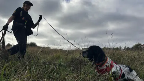 Henry sat in a field after locating a dead bird as Louise stands over him holding his leash.