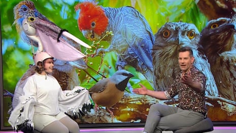 Matilda Boseley sports homemade pelican outfit to talk bird of the year on ABC – video