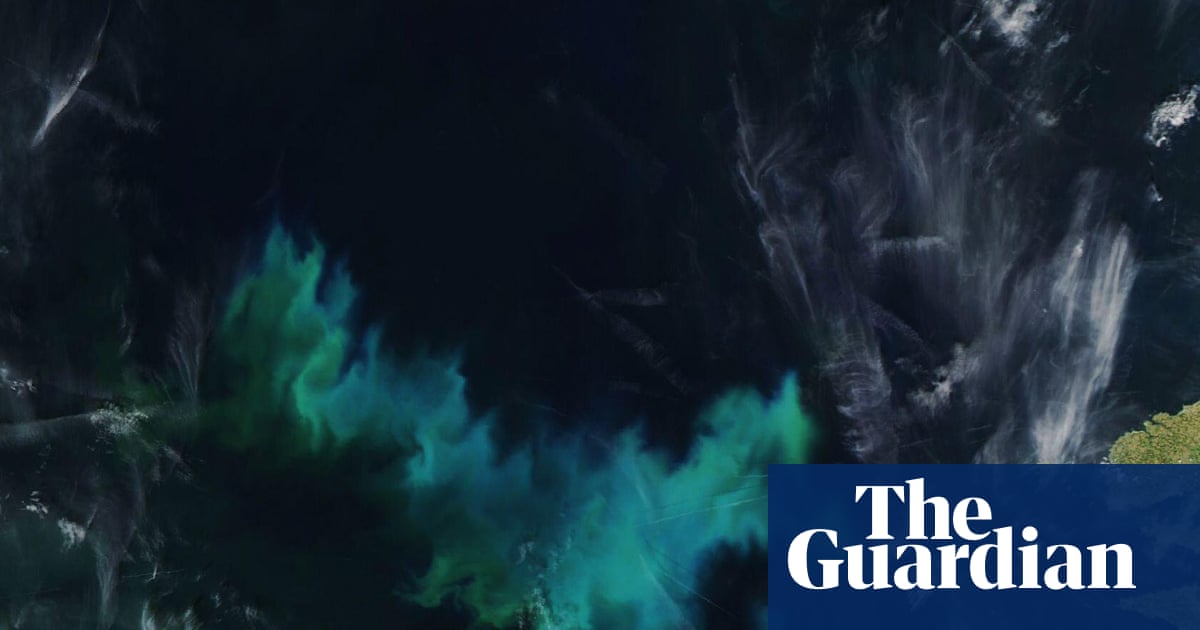 Marine heatwaves to become more frequent off UK and Irish coasts, experts say | Oceans