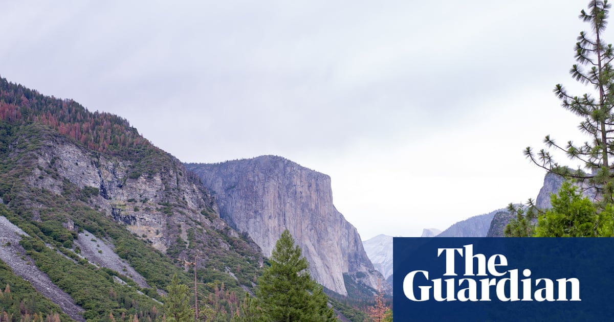 Emerging climbing star Balin Miller, 23, dies in fall from El Capitan | Rock climbing