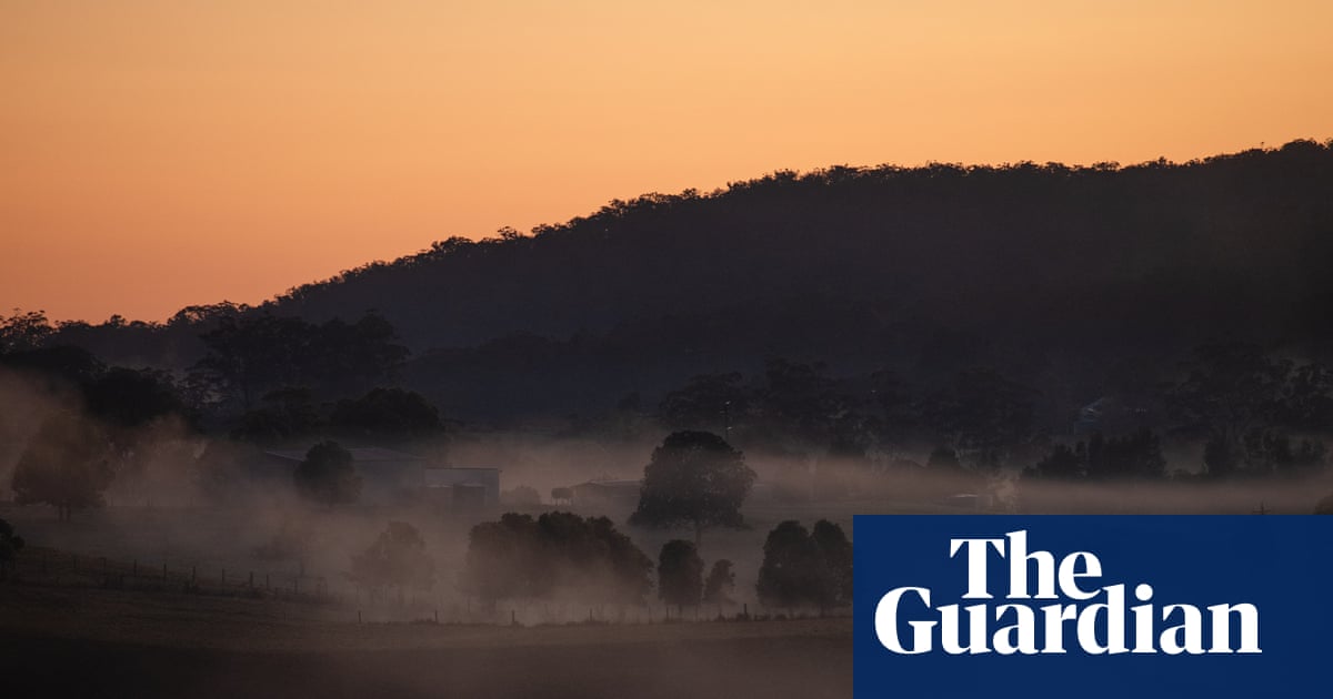 Bitter fruit: the dark underside of the booming NSW blueberry industry | Australian immigration and asylum