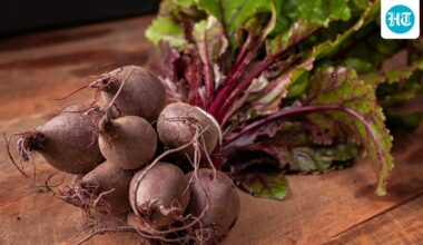 Nutritionist shares 5 foods every woman over 50 should include in their diet to promote post-menopausal health