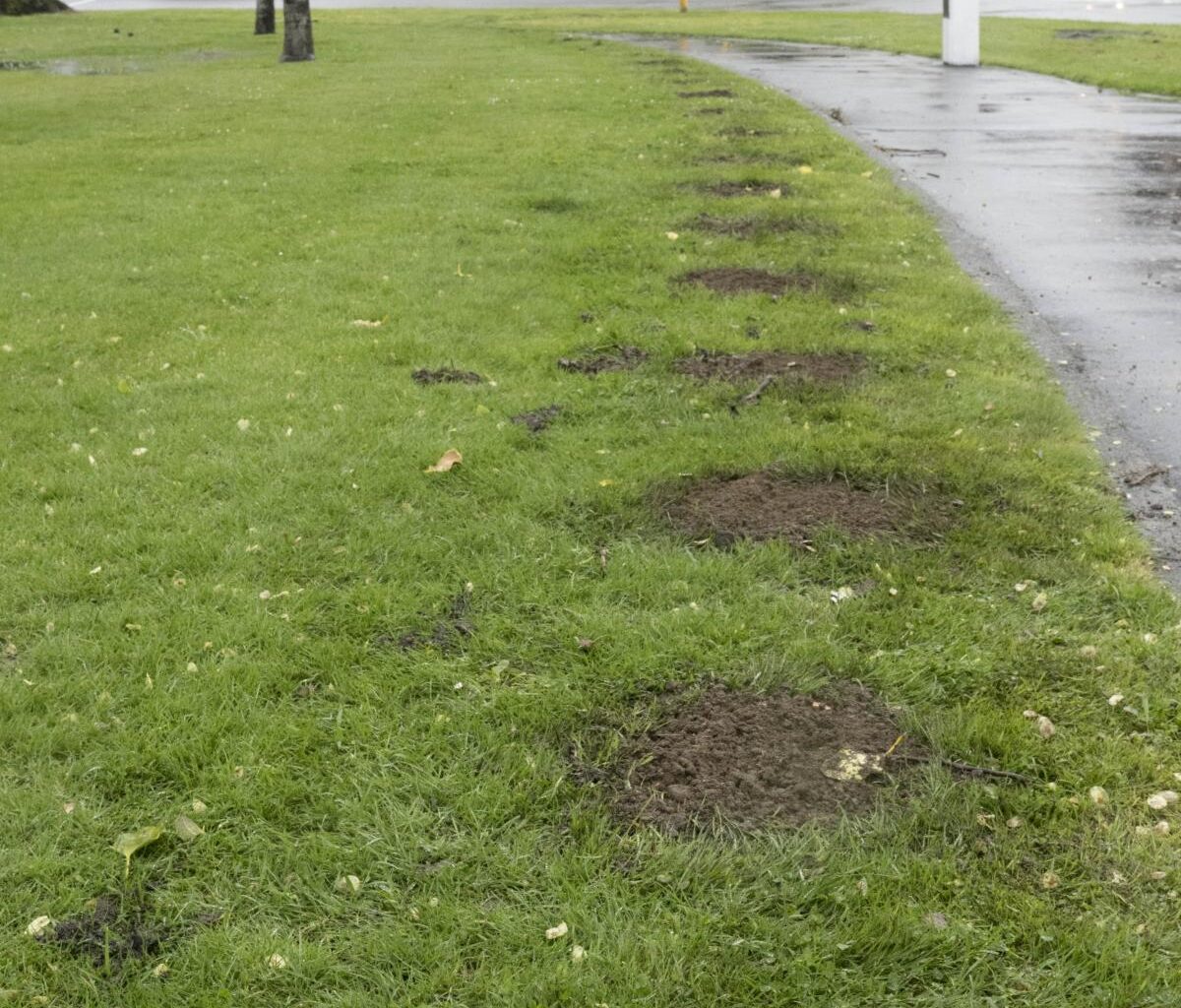 And then there were none