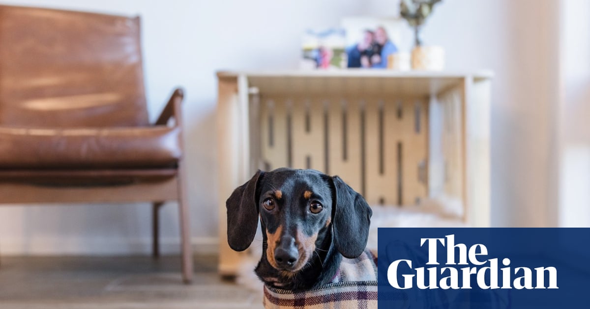 VIP appearances, books and beer: what Valerie the dachshund is up to after her Kangaroo Island adventure | Valerie the dachshund