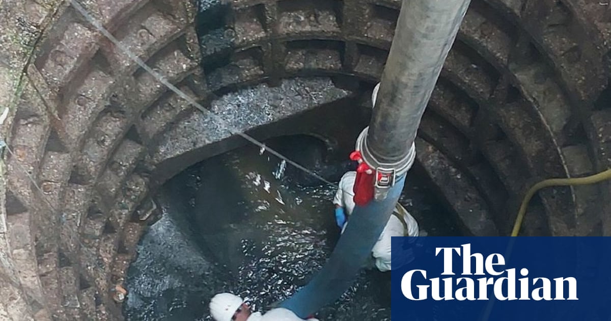 Thames Water removes 100-tonne fatberg from west London sewer | Environment