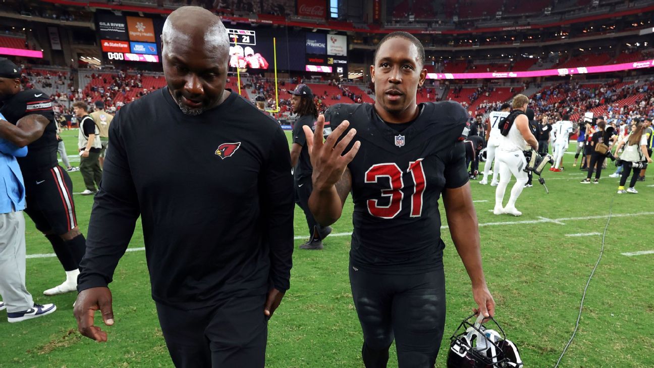 Cardinals' Gannon apologizes to Demercado for sideline spat