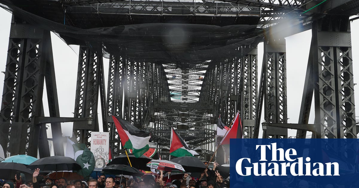 Sydney Opera House pro-Palestine march has ‘disaster written all over it’, senior NSW police officer tells court | Sydney