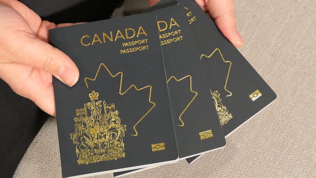House committee adds language, security checks to 'Lost Canadians' citizenship bill