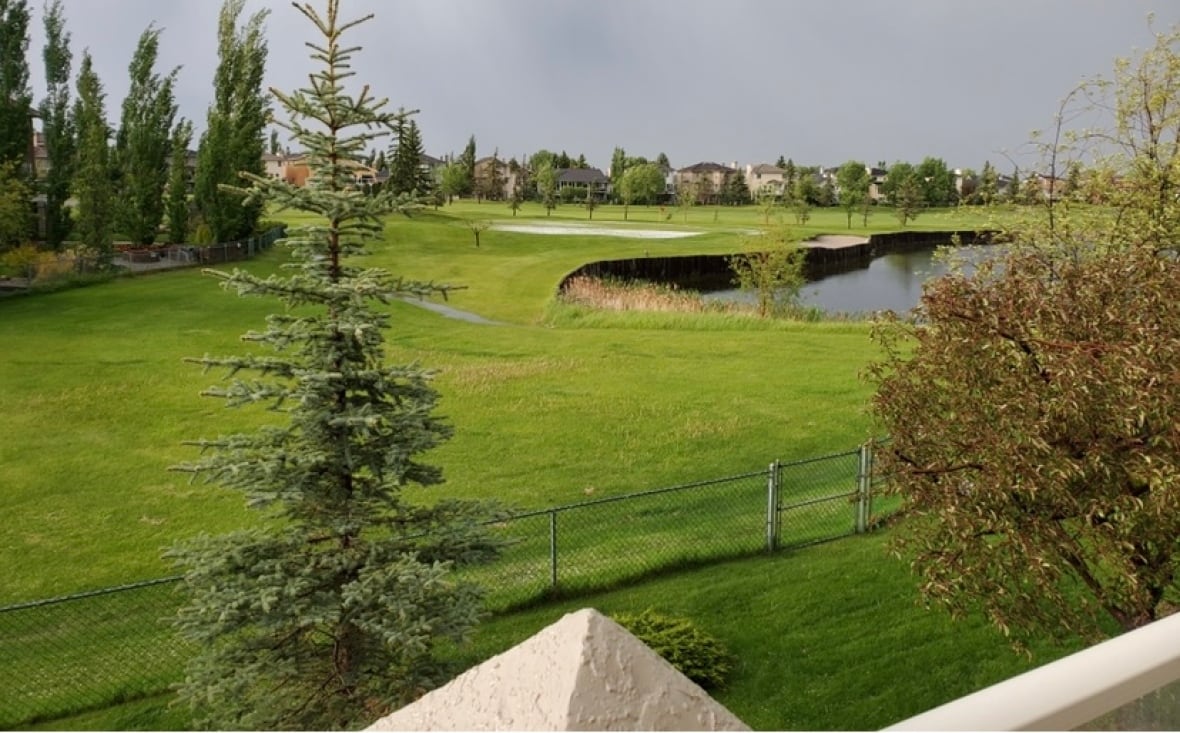 a  golf course is seen in summer with trees, green grass and a pond