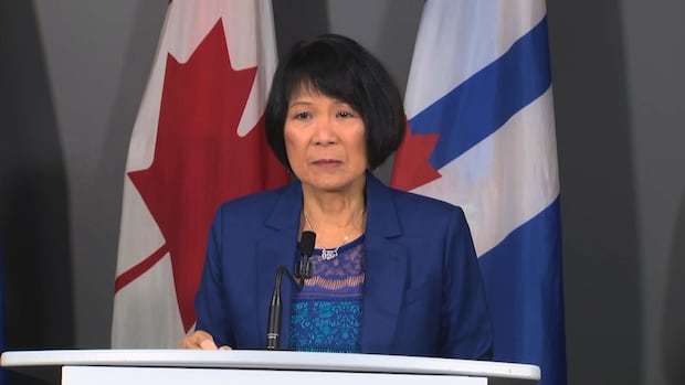 Toronto councillors green-light changes to speed camera program as Ford doubles down on ban