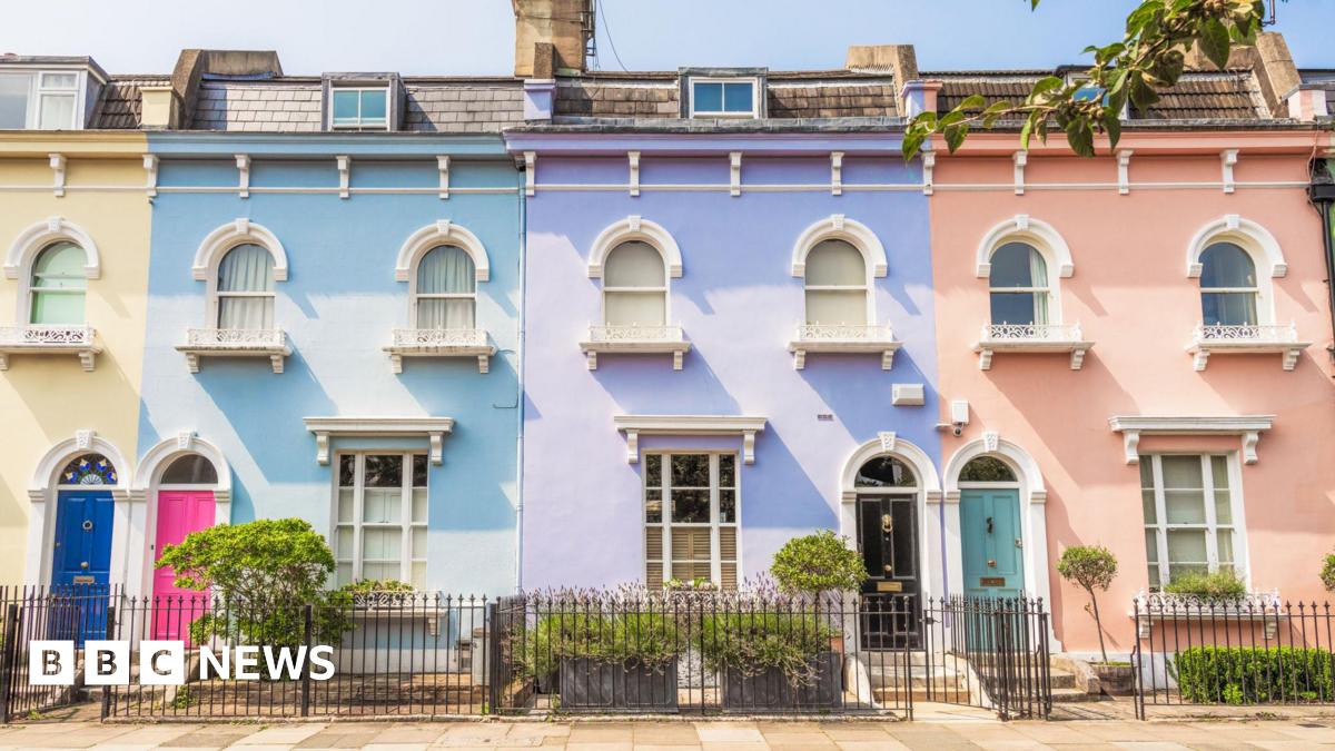 A row of terraced houses painted, left to right, yellow, blue, purple and pink, with fences and shrubs in front.