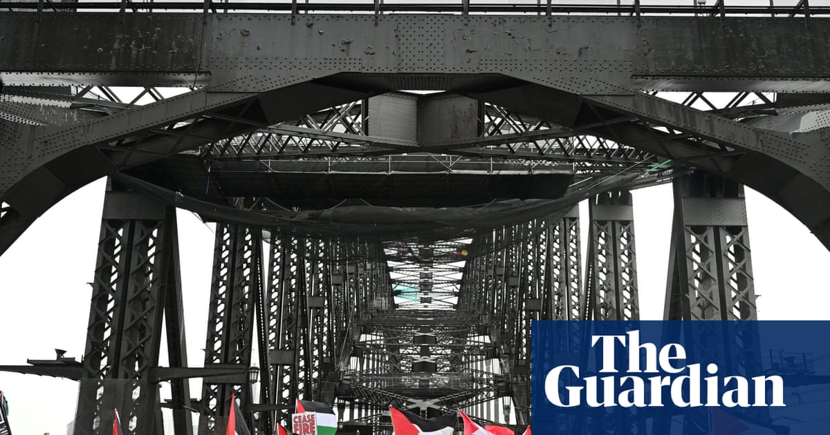 Could a landmark court decision undermine the right to peacefully protest in NSW? | Law (Australia)