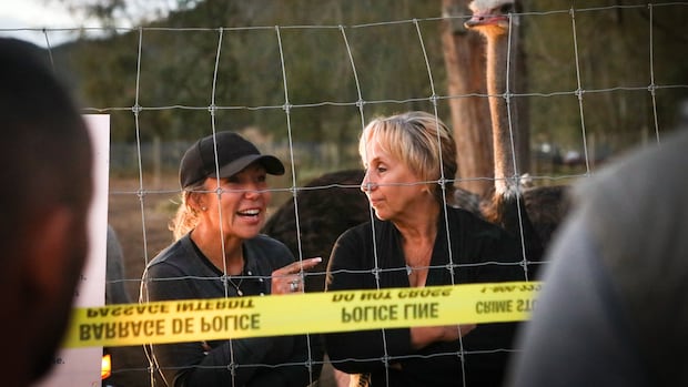 Syilx Okanagan Nation chiefs deny issuing cease and desist letter in ostrich cull controversy