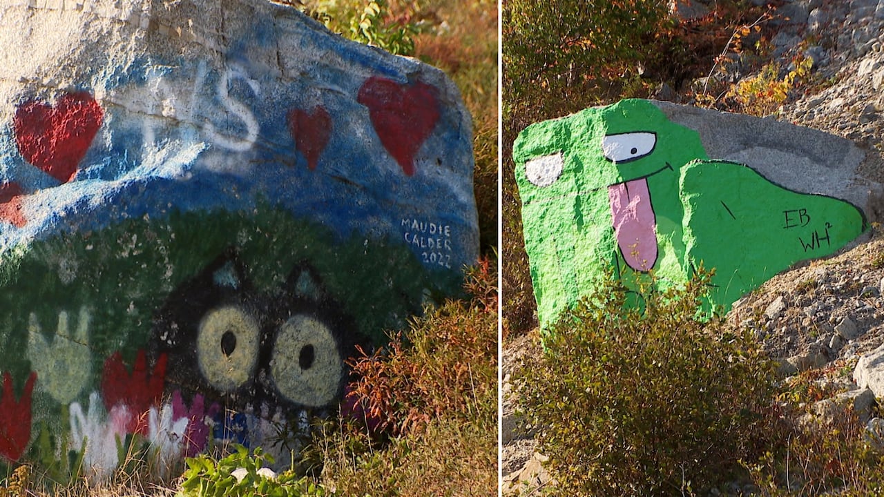 Two images of large rocks painted in different ways. One is a cat painted in Maud Lewis's signature style and the other is a cartoon frog.