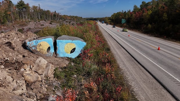 Nova Scotia's painted 'eyeball rocks' will soon be no more