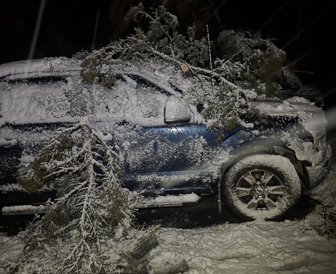 A blue car is seen with branches on it that have fallen from a tree. Fresh snow covers the branches, car and ground.