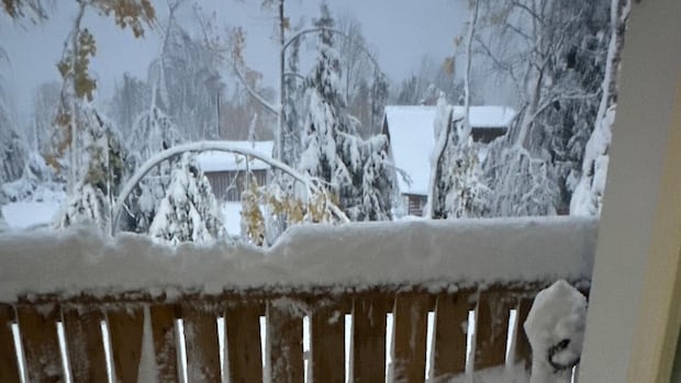 Major winter storm hits parts of northern Manitoba