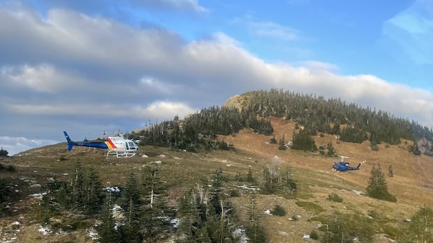 2 hikers taken to hospital after grizzly attack near Prince George, B.C.