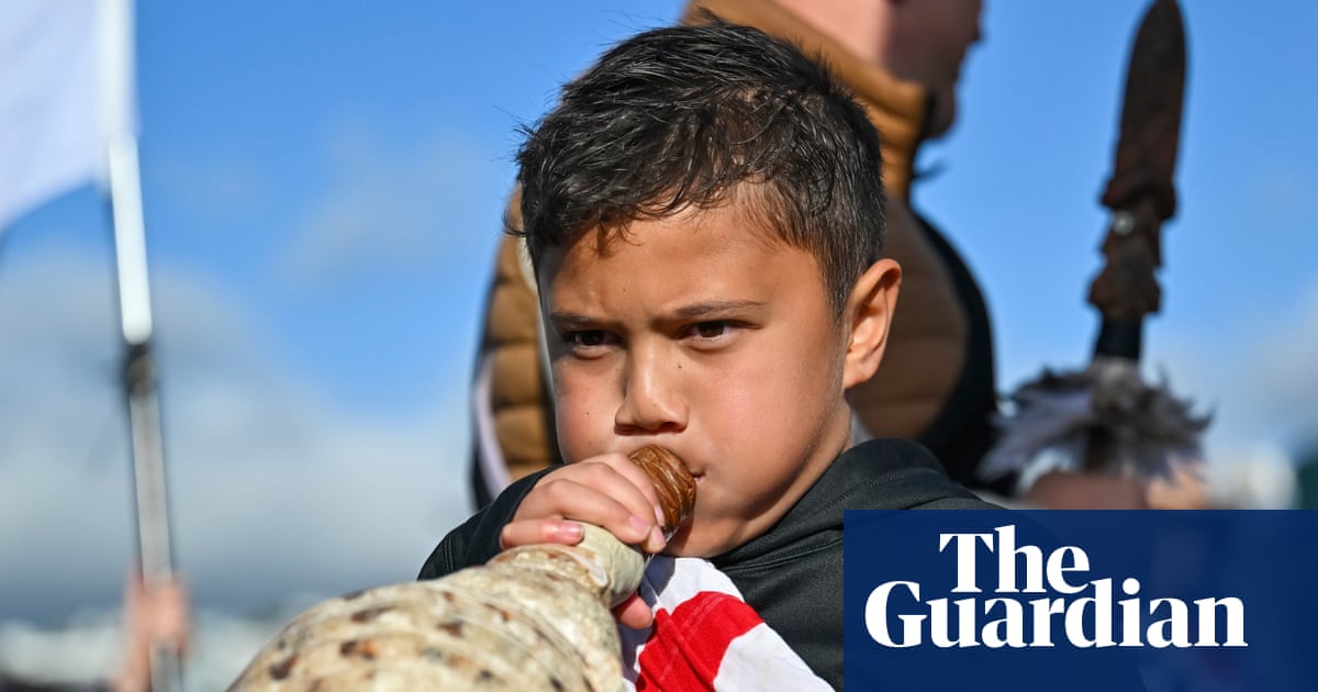 Guaranteed Māori seats on New Zealand councils to be slashed by more than half | Māori