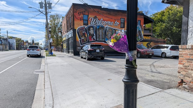 Pedestrian killed in Sandwich Town collision involving 2 vehicles: Windsor police