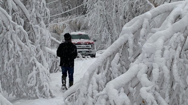 Thousands still without power after Monday's snowstorm in northern Manitoba