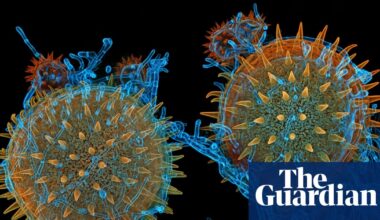 Magnifying the minuscule: Nikon Small World photomicrography 2025 – in pictures | Science