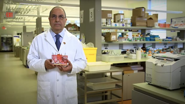 Investigation found UBC researcher fabricated data, gave spinal patients 'false hope.' The public was not told