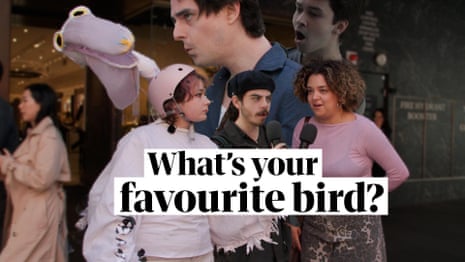 Which Australian birds are the peoples' choice? Matilda Boseley finds out - video