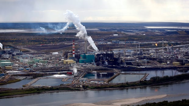 CO2 in the atmosphere has reached highest level in 800,000 years: WMO report