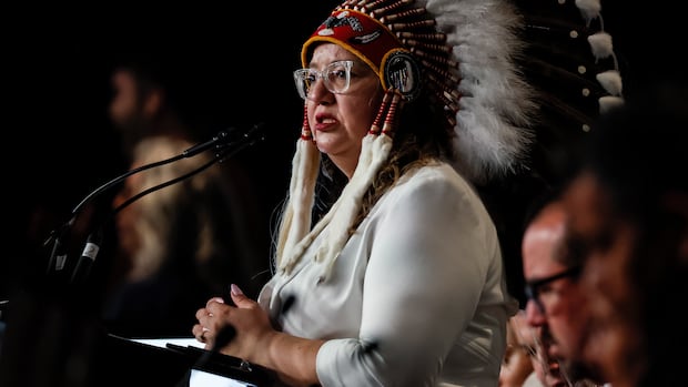 Indigenous leaders ‘not allowed’ to fully partake in ministers’ meeting on public safety, says national chief